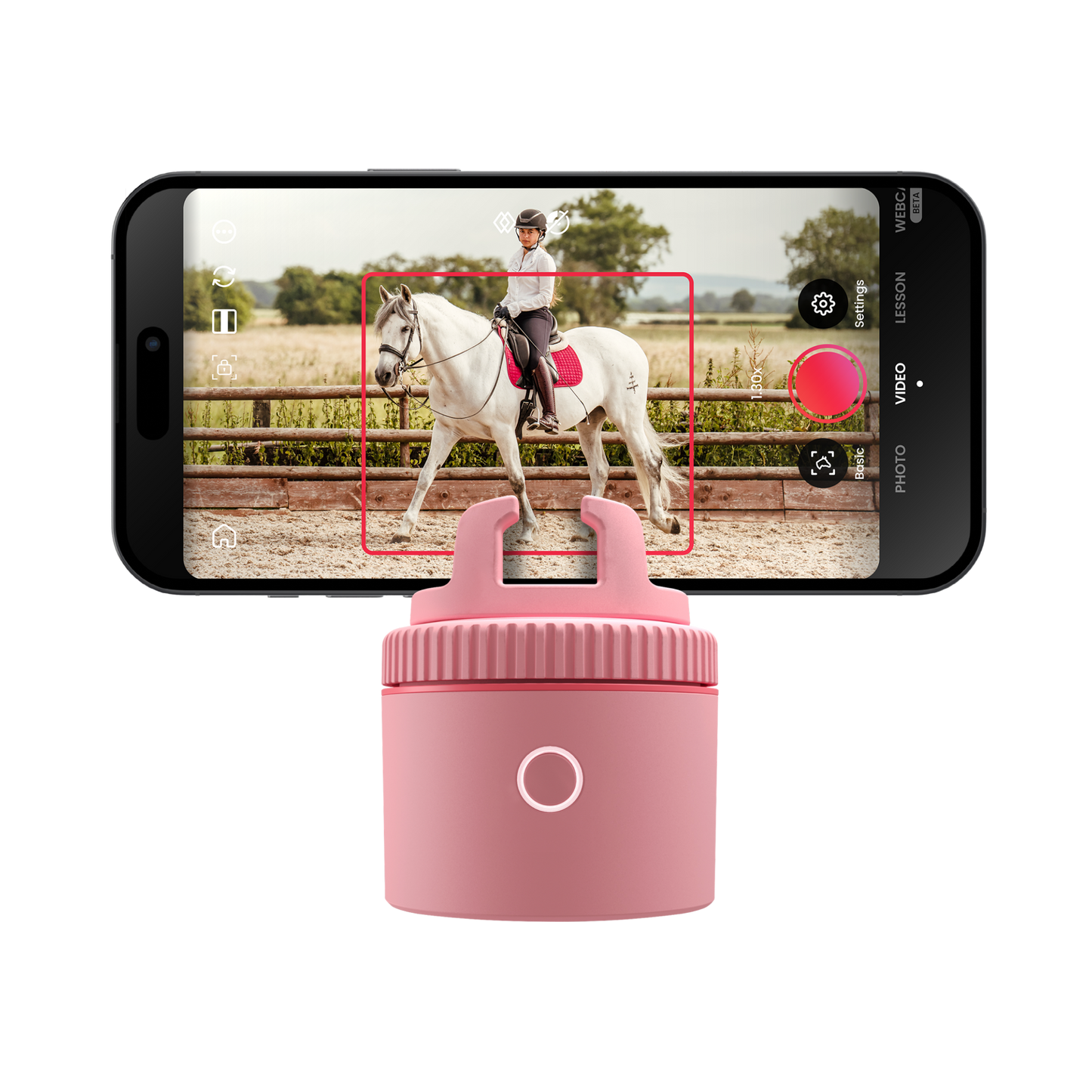 Pink / Equestrian Lite
