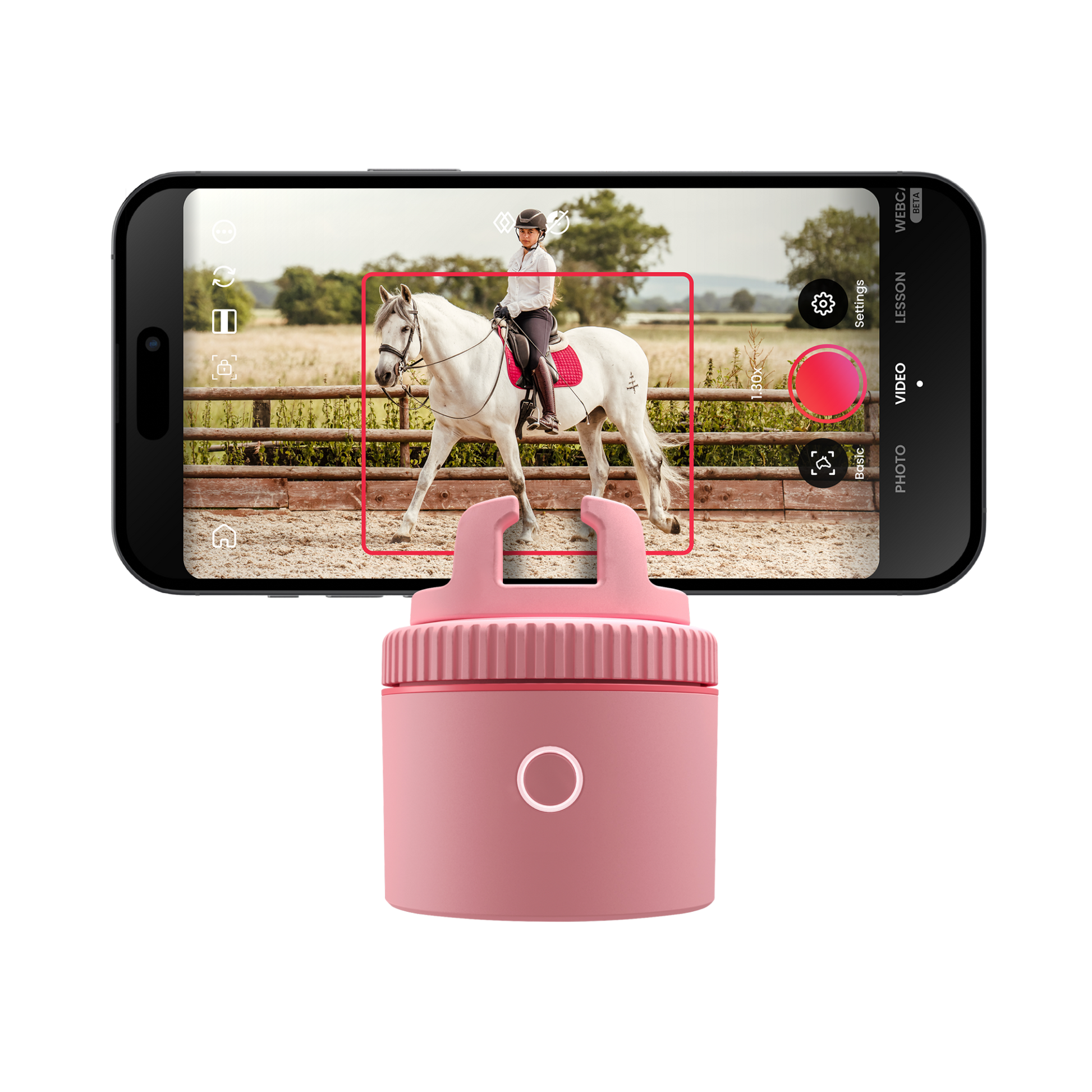 Pink / Equestrian Lite